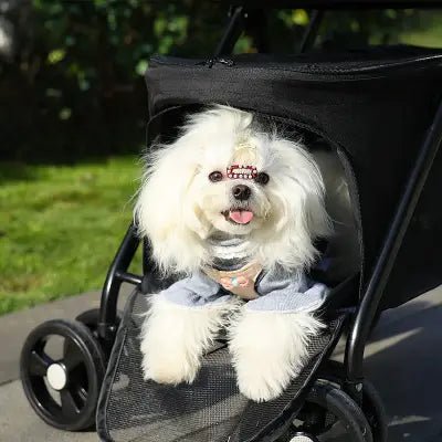 Poussette pour Chien - PetStroller™ - Noir - Nature chien