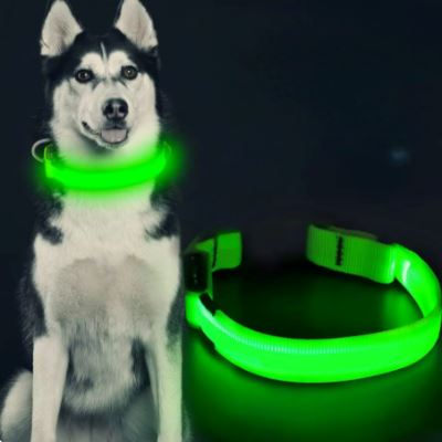 Collier Chien - LEDCollarDog™ - Vert - Nature chien