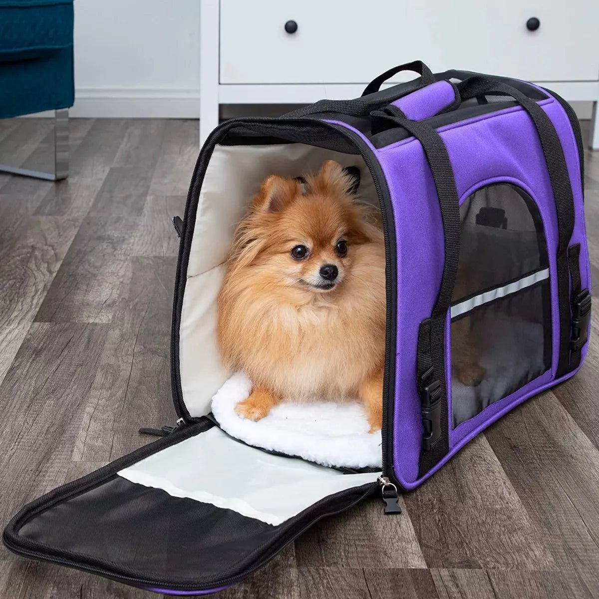 Sac de Transport pour Chien - DogCarrierBag™ - Violet - Nature chien