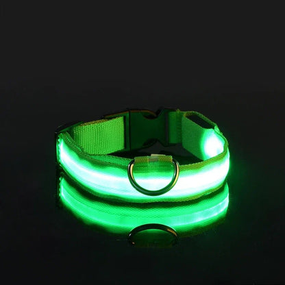 Collier Chien - LEDCollarDog™ - Vert - Nature chien