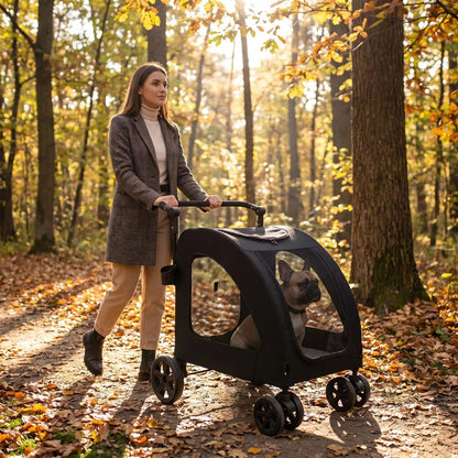 femme promenant chiot dans jolie  poussette pour chien noire foret
