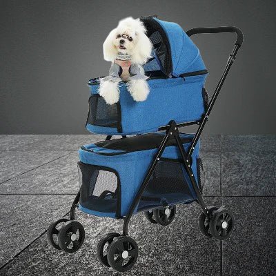 joli chiot blanc dans belle poussette pour chien bleue