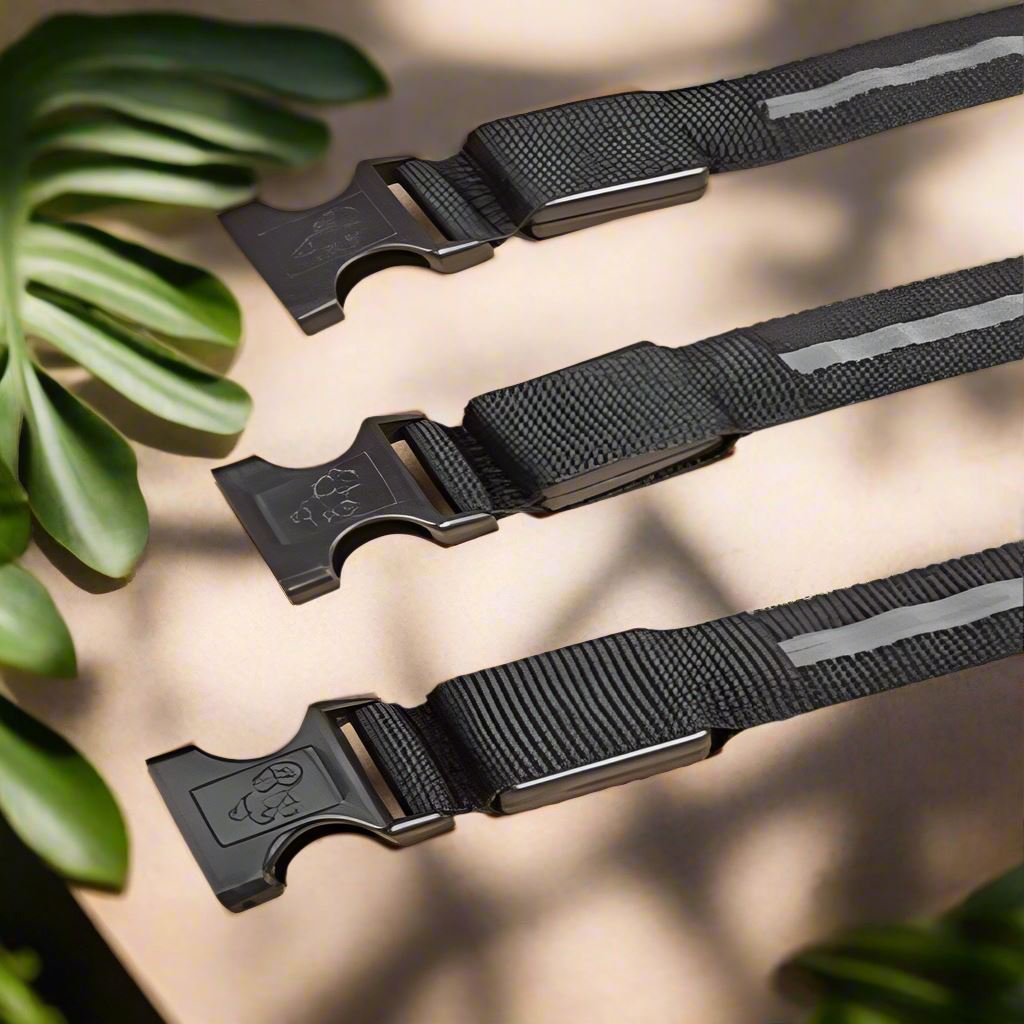 Collier Chien - LEDCollarDog™ - Noir - Nature chien