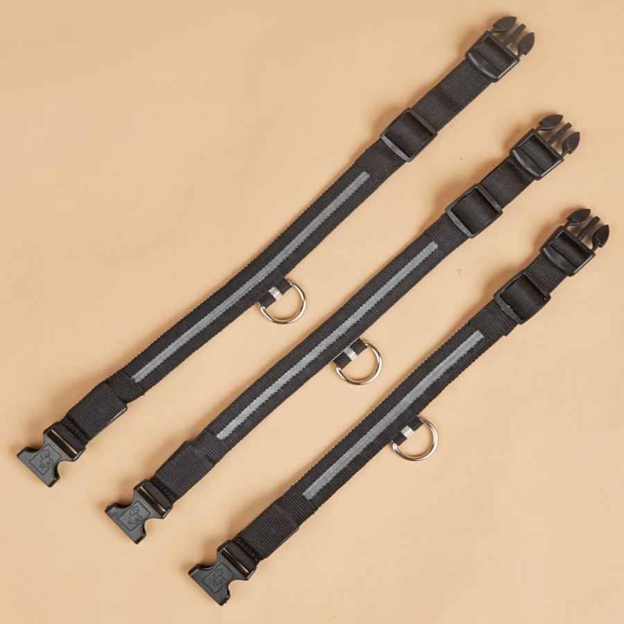 Collier Chien - LEDCollarDog™ - Noir - Nature chien